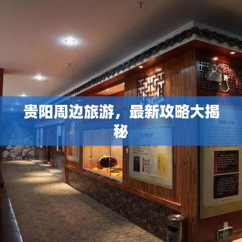 鸟吏鼈官 第2页