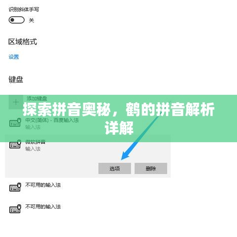 探索拼音奥秘，鹤的拼音解析详解