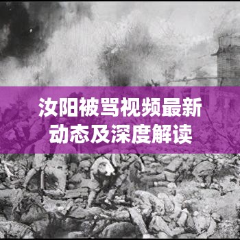 汝阳被骂视频最新动态及深度解读