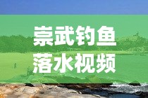 丢三落四 第2页