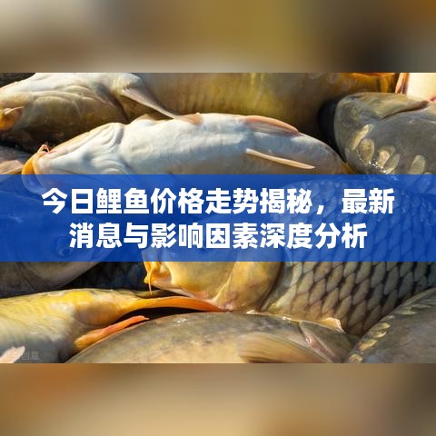 鸟啼花落 第2页