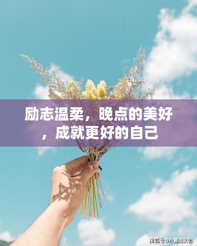 神采飞扬 第2页