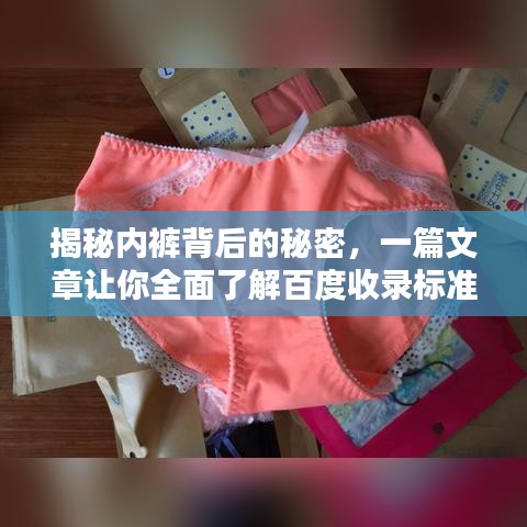 揭秘内裤背后的秘密，一篇文章让你全面了解百度收录标准下的内裤知识