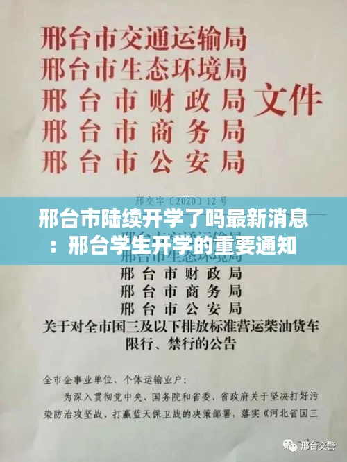 眉清目秀 第3页