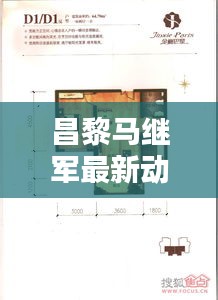 昌黎马继军最新动态及成就概览