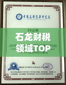 石龙财税领域TOP10企业成功秘诀大揭秘！