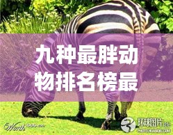 张狂妄行 第2页