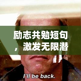 金石为开 第2页