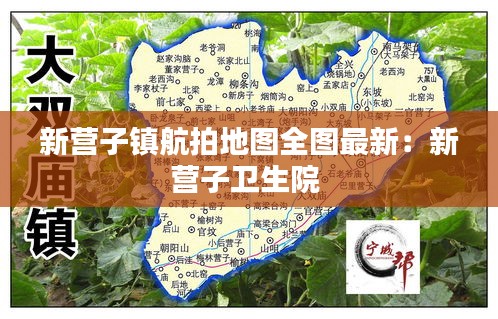 物离乡贵 第2页