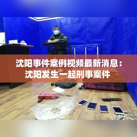 沈阳事件案例视频最新消息：沈阳发生一起刑事案件 