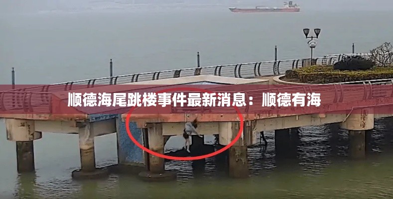 顺德海尾跳楼事件最新消息：顺德有海 
