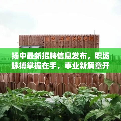 设备展示 第122页
