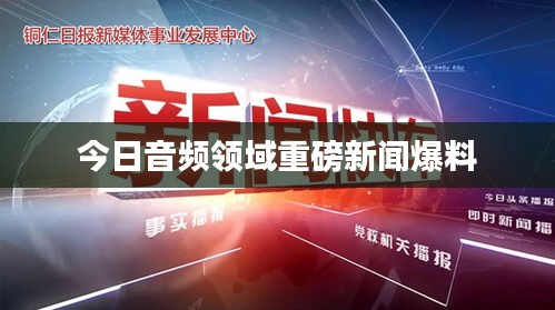 今日音频领域重磅新闻爆料