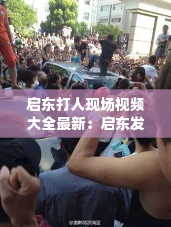 百鸟归巢 第2页