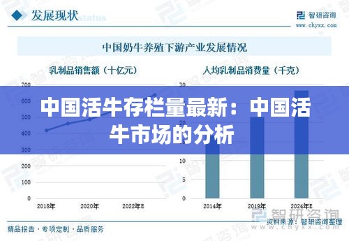 轻飞曼舞 第2页