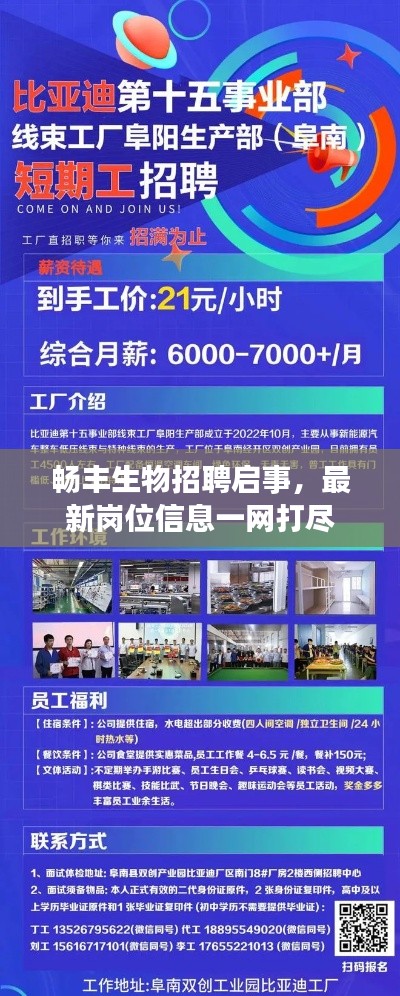 行百里者半九十 第2页
