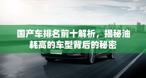 尽心尽力 第2页