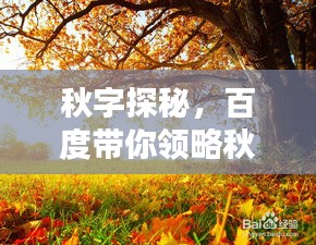 下马看花 第2页