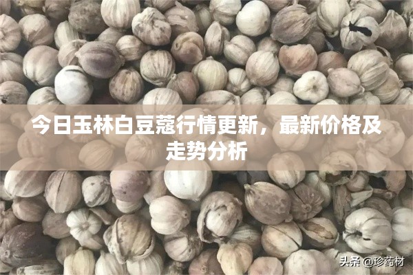 张三李四 第2页