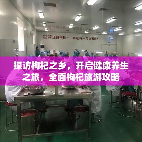 探访枸杞之乡，开启健康养生之旅，全面枸杞旅游攻略