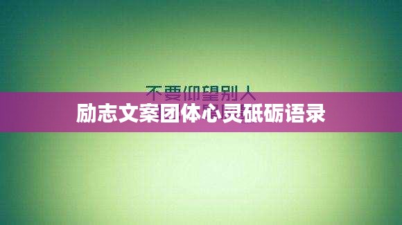 雍容华贵 第2页