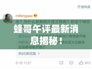蜂哥午评最新消息揭秘！