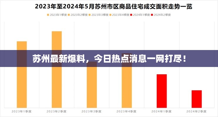 芒屩布衣 第2页