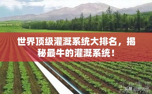 尽善尽美 第2页