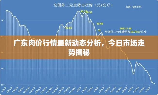 齿白唇红 第2页