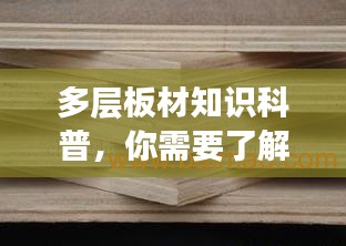 多层板材知识科普，你需要了解的百度收录要点！