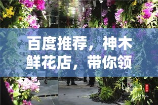 百度推荐，神木鲜花店，带你领略鲜花世界的魅力