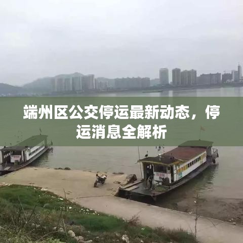 端州区公交停运最新动态，停运消息全解析