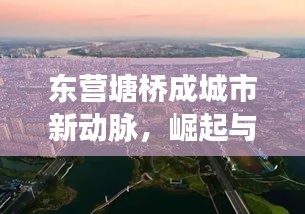 东营塘桥成城市新动脉，崛起与未来展望