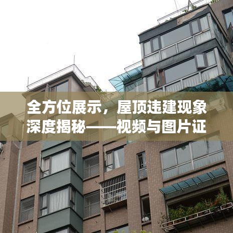 孜孜不倦 第2页