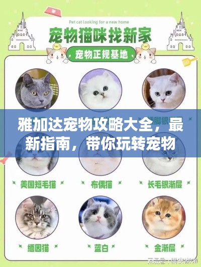 心慌意乱 第2页