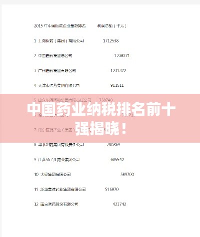 中国药业纳税排名前十强揭晓！