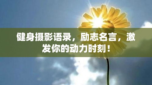 鸟革翬飞 第2页