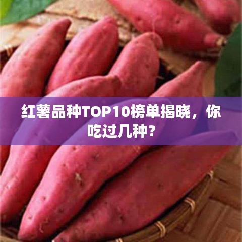 普度众生 第2页