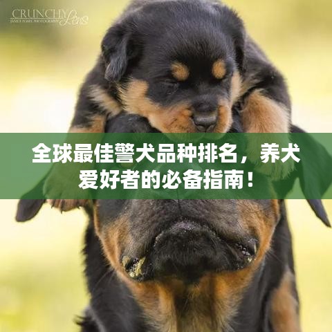 学贯中西 第2页