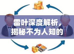 雷叶深度解析，揭秘不为人知的秘密！