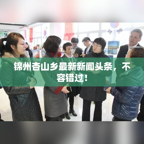 锦州杏山乡最新新闻头条，不容错过！