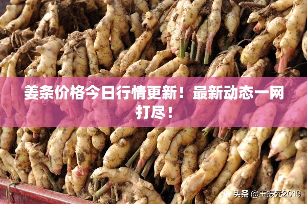 飞鸟依人 第2页