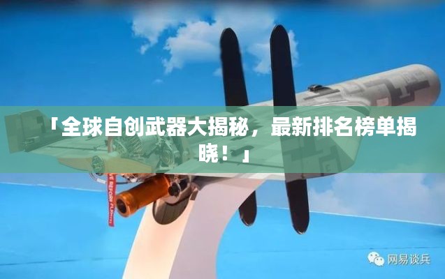 「全球自创武器大揭秘，最新排名榜单揭晓！」