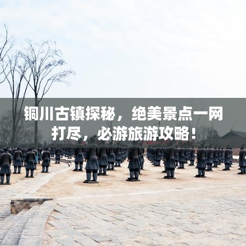 飞箭如蝗 第2页