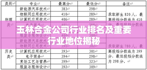 玉林合金公司行业排名及重要行业地位揭秘