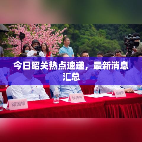 今日昭关热点速递，最新消息汇总