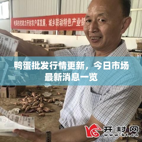 鸭蛋批发行情更新，今日市场最新消息一览