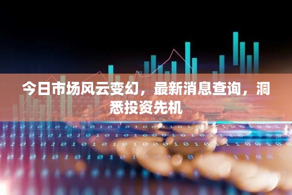 今日市场风云变幻，最新消息查询，洞悉投资先机