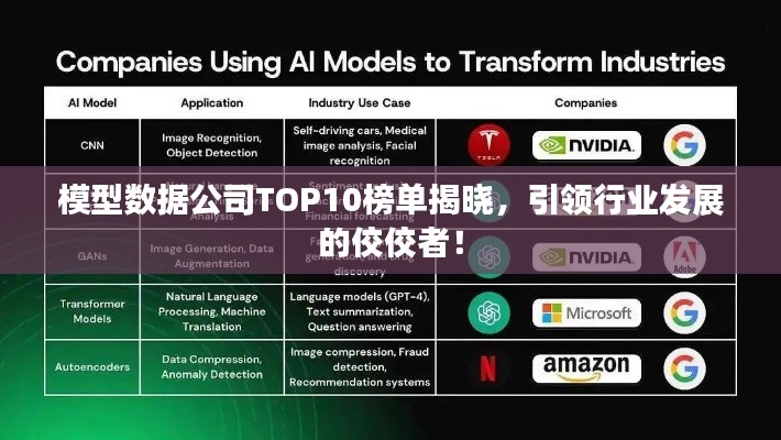 模型数据公司TOP10榜单揭晓，引领行业发展的佼佼者！