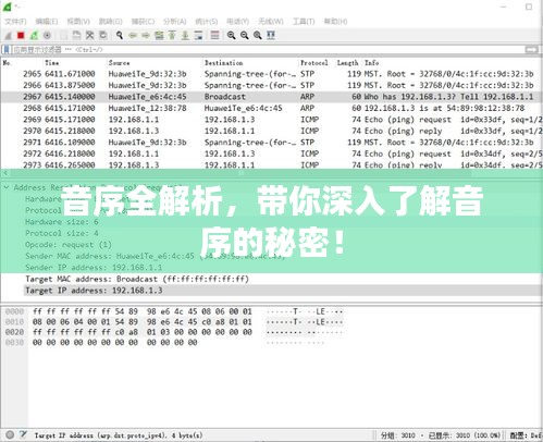 音序全解析，带你深入了解音序的秘密！